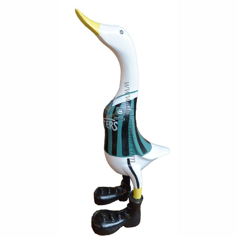 Premier league promo spesial Plymouth FC Bamboo Duck (Bamboo Ducks Large) | Free Shipping